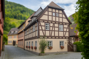 maison-colombage-rue-pavee-verdure